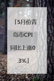 5月份青岛市CPI同比上涨0.3%